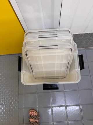 Lote 10 Cajas Almacenaje Hermeticas 20L