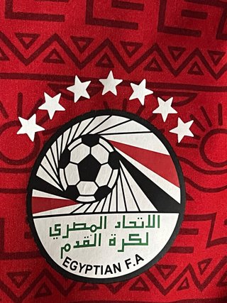 Camiseta Egipto Mo Salah Talla M Puma