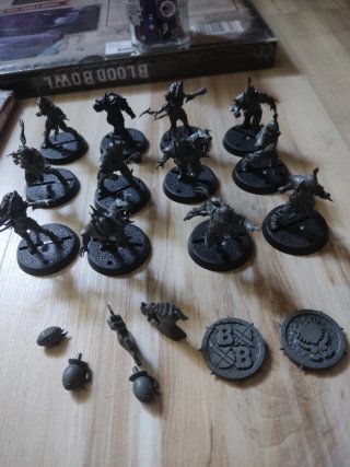 Blood Bowl Caja Base y Elfos Oscuros