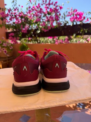 Sport sneakers