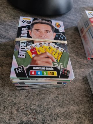 Panini Liga Entrenadores y Escudos