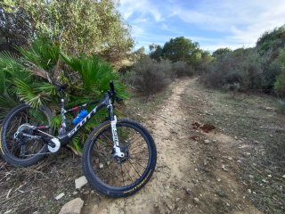 Scott Spark RC World Cup Evo