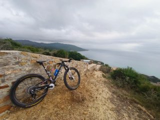 Scott Spark RC World Cup Evo