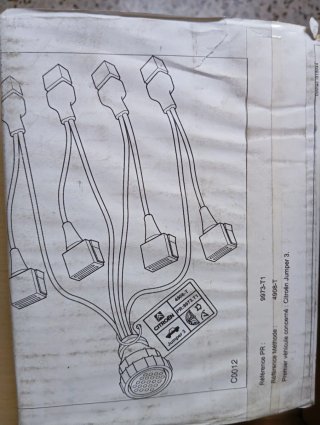 Lote Cables Diagnóstico PSA