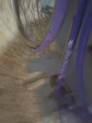 Bicicleta de Señora Morada