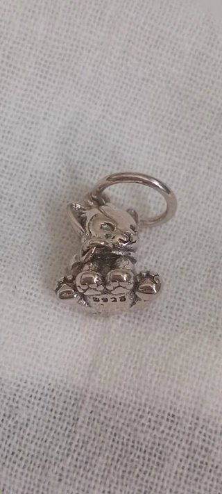 Charm gato plata de ley