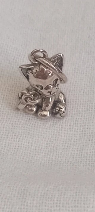Charm gato plata de ley