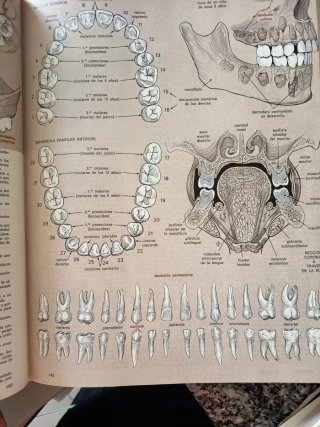 Diccionario médico ilustrado de Melloni