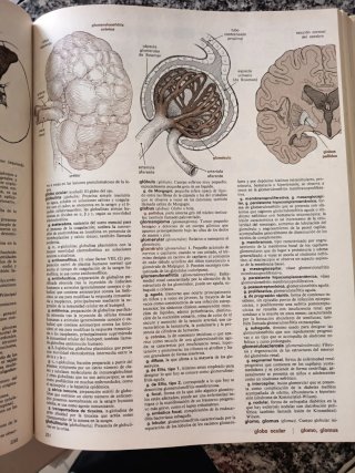 Diccionario médico ilustrado de Melloni
