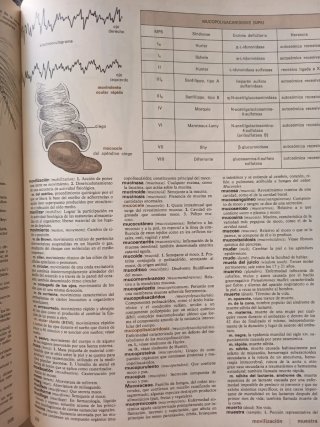 Diccionario médico ilustrado de Melloni
