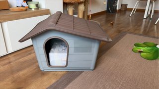 Casa per gatti o cani di piccola taglia