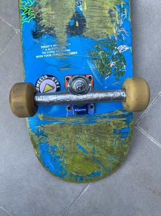 Tabla Skate Welcome 8.625 Ace 55 Spitfire