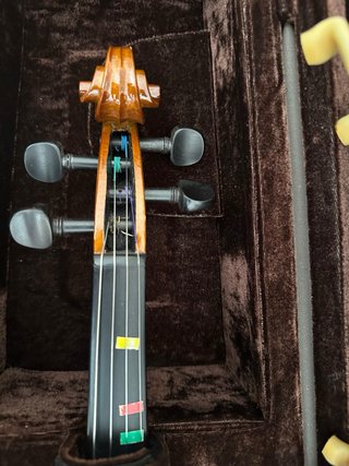 Violín de principiante tamaño 4/4 (adulto)