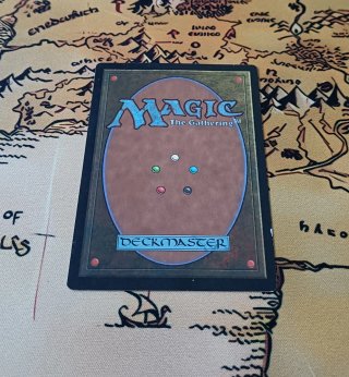 CARTA MAGIC - GAMBLE