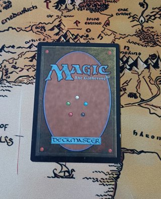 CARTA MAGIC - GAMBLE