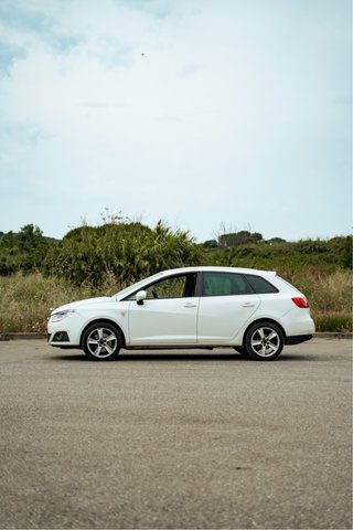 SEAT Ibiza 2010