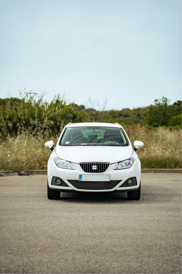 SEAT Ibiza 2010
