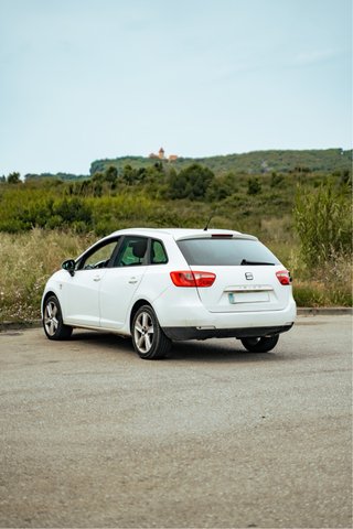 SEAT Ibiza 2010