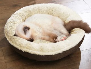 Cama redonda para mascotas Feandrea