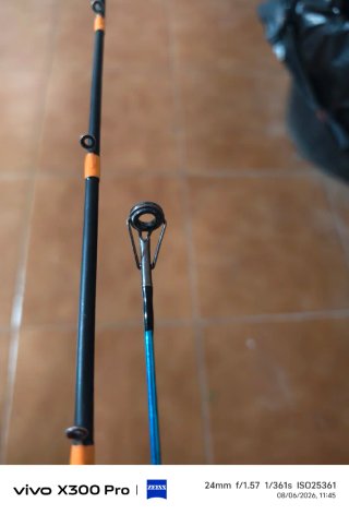 Caña de pesca de siluro una de spinning y casting.