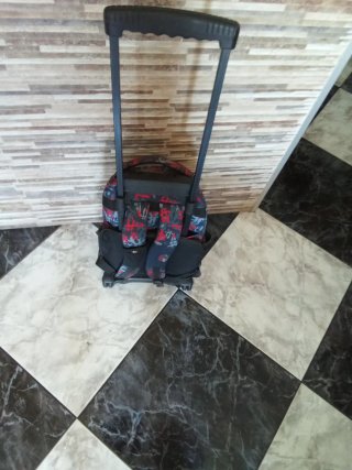 Mochila con ruedas infantil