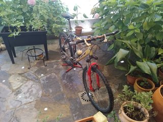 Bicicleta BH