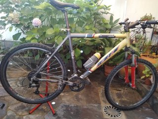 Bicicleta BH