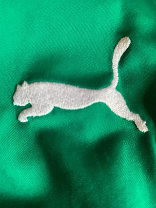 Chaqueta Oficial Sporting Lisboa Puma Verde