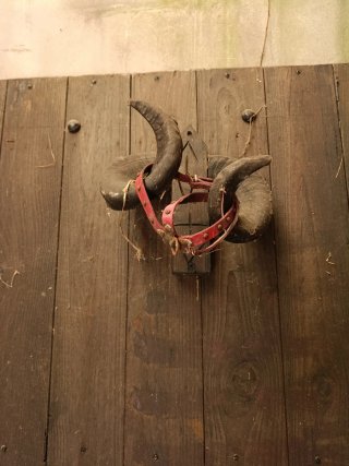 Puerta madera con aldaba y cuernos