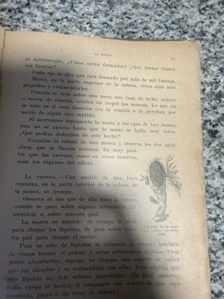 libro antiguo
