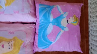 Lote Cojines Grandes Princesas Disney