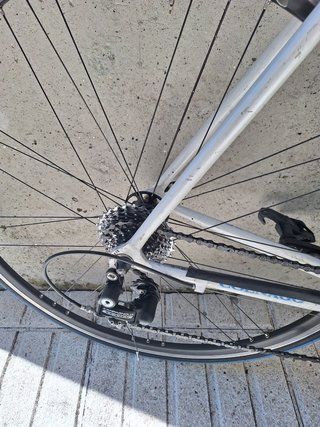 Colnago Talla 54 Campagnolo 10v