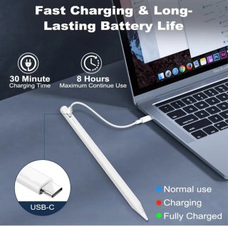 Lápiz Táctil Apple