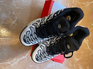Zapatillas Nike Air Max Plus TN SE