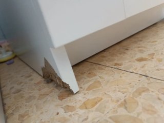 Armario Blanco Ikea 3 Puertas