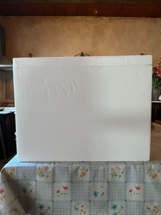 Cajas Isotérmicas Poliespán con Tapa