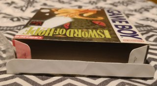 The Sword of Hope Game Boy