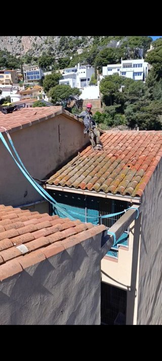 Servicio profesional de limpieza de tejados