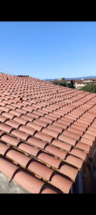 Servicio profesional de limpieza de tejados