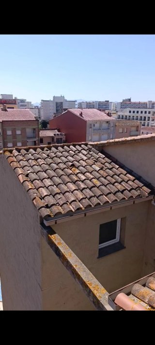 Servicio profesional de limpieza de tejados