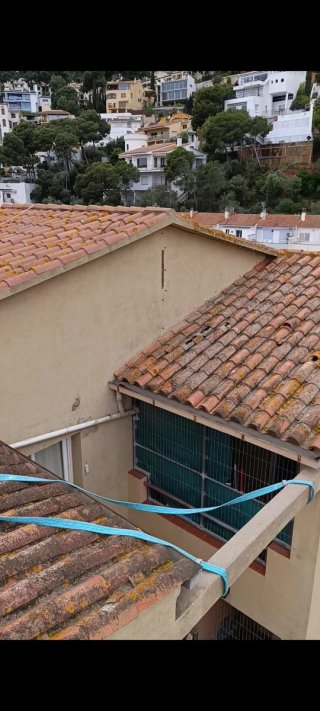 Servicio profesional de limpieza de tejados