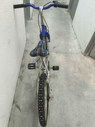 Bicicleta infantil HTW WOLF