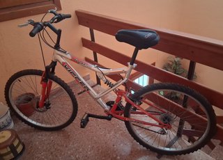 Bicicleta de montaña