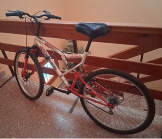 Bicicleta de montaña