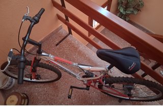 Bicicleta de montaña