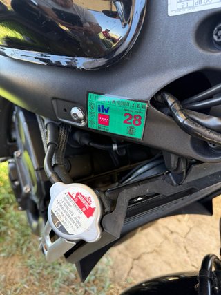 Yamaha FZ6 S2 Naked Negra