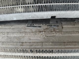 Panel Radiador y Electro Citroen C3 III 1.6 bluehd