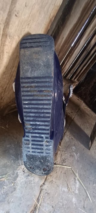 Botas de esquí Rossignol