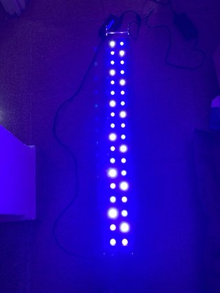 Pantalla LED Coral con Controlador