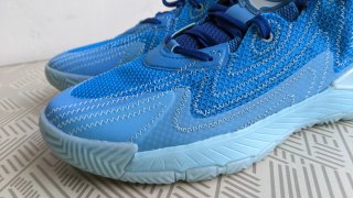 ADIDAS DERRICK ROSE SON OF CHI T-41 1/3